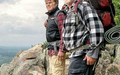 Забрана за движење во шумите од 1 јули до 31 август поради зголемен ризик од пожари