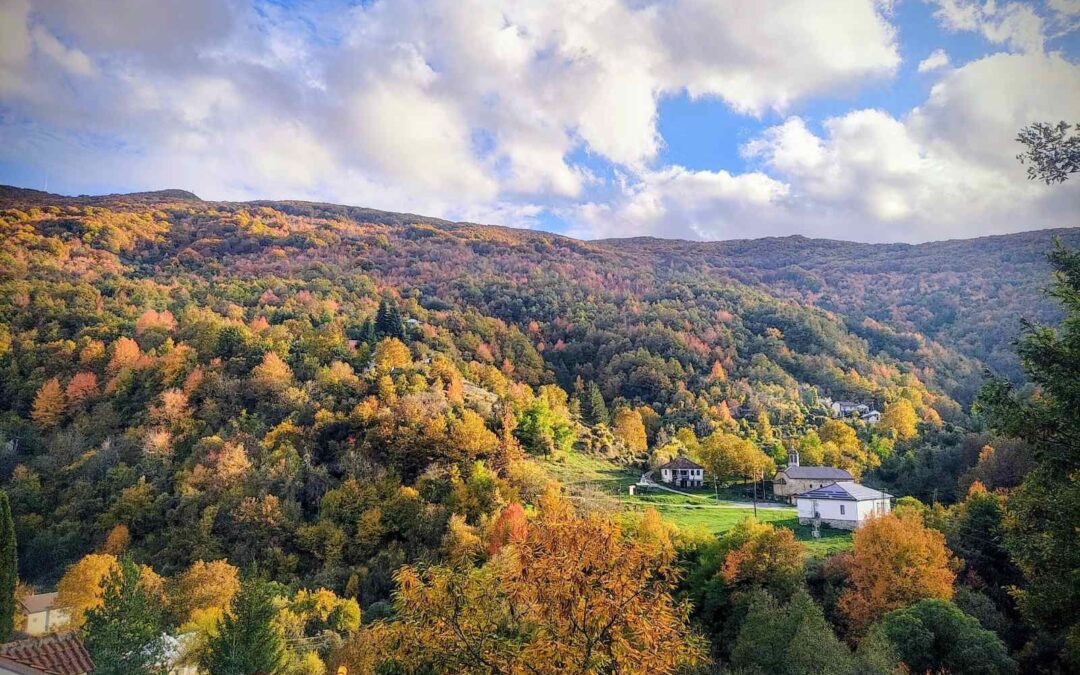 Известување за корекција на придонесот за вода и комуналии