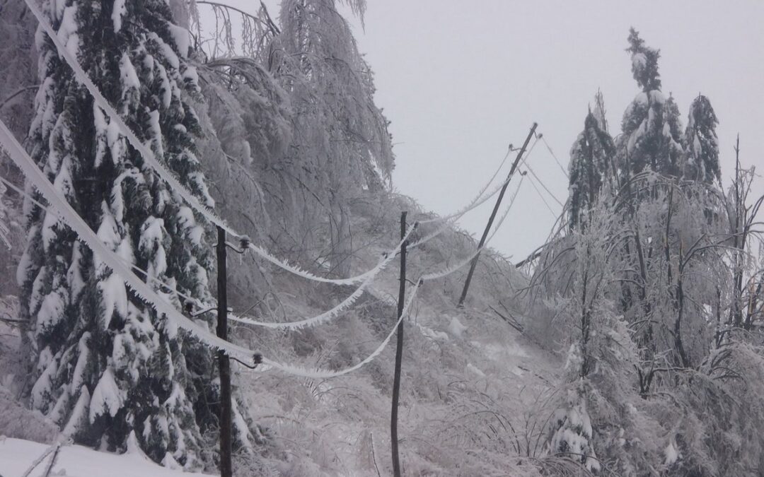 Тресонче отсечено – паднати бандери ја исклучија струјата, патот од Гарски мост е премногу ризичен!